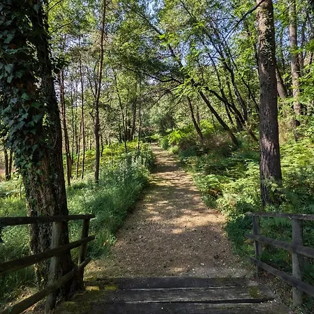 Dans Domaine Nature Avec