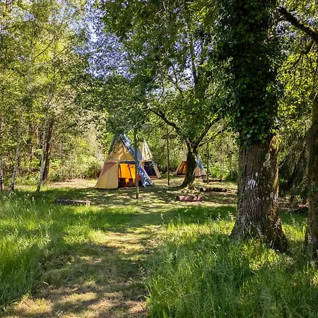 אתר קמפינג Dans Domaine Nature Avec 3*